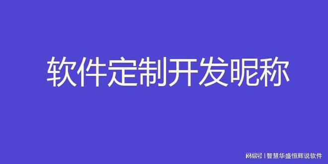 国内最大的软件外包公司有哪些公司呢