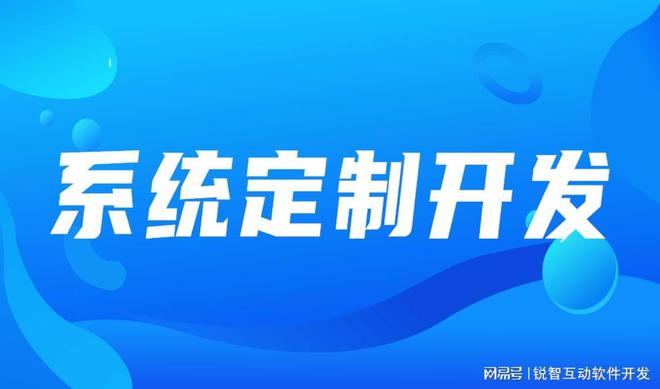 saas软件系统外包公司