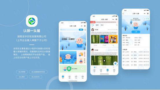 上海软件开发正规的软件外包开发公司需要具备哪些条件？(图2)