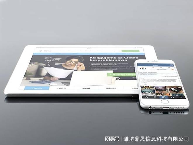 潍坊网站开发外包公司如何选择