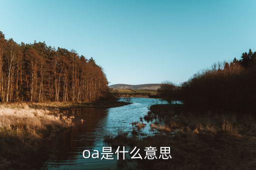什么是oa（办公自动化）？