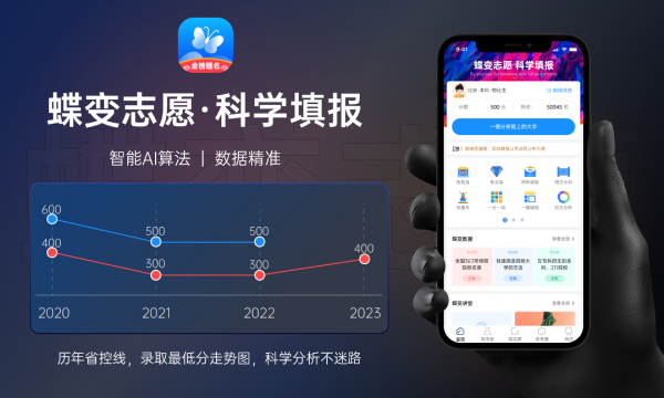 盈建科（300935）2024年年报关键审计项：软件与信息技术服务收入确认等