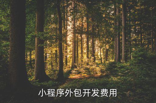 接外包和项目要多少钱合适(图2)