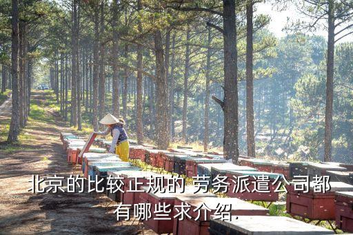 北京劳务外包效果好北京软件开发劳务外包